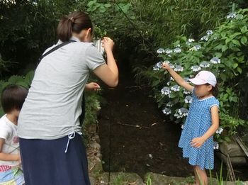 立川公園の池でザリガニ釣り 多摩てばこネット