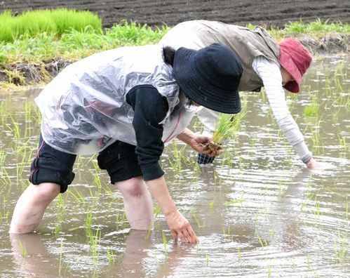 '201506212212_2-500x396.jpg'