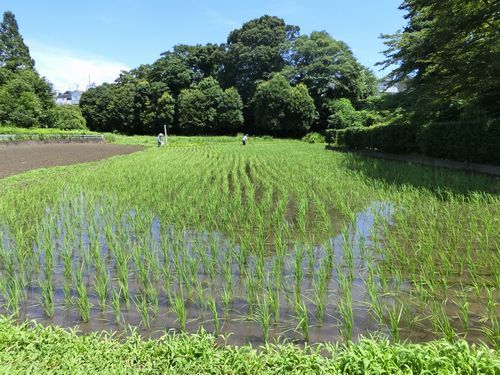 '201507192257_1.jpg'