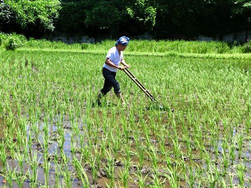 '201507192257_2.jpg'