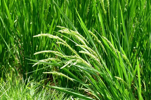 '201508271444_1.jpg'