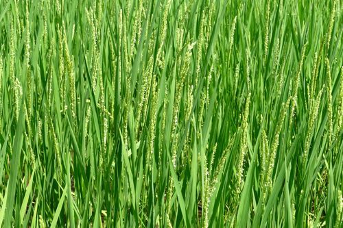 '201508271444_2.jpg'