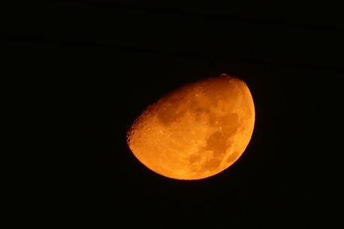 昨夜の月は オレンジ色 でした 多摩てばこネット
