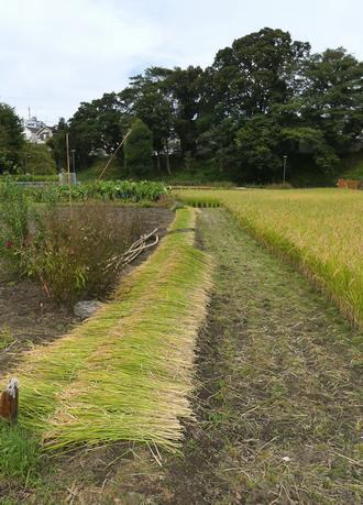 '201610141923_1.jpg'