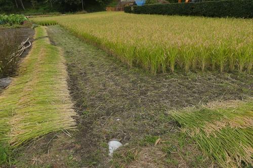 '201610141923_2.jpg'