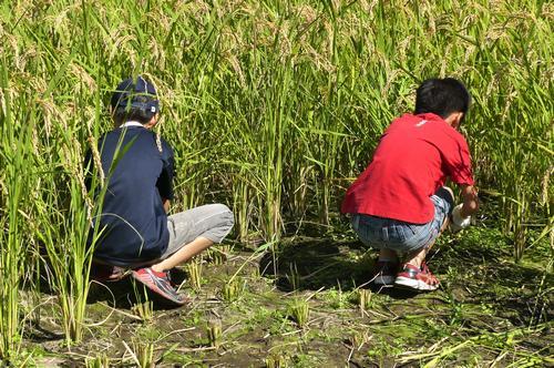 '201610151945_1.jpg'