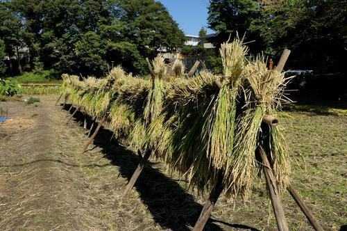 '201610151945_5.jpg'