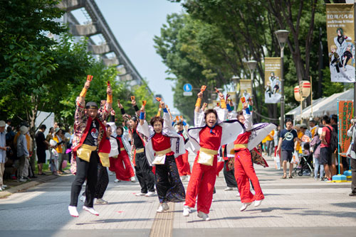 立川市 第30回記念 立川よいと祭り よさこい 多摩てばこネット 立川市 第30回記念 立川よいと祭り よさこい 多摩てばこネット